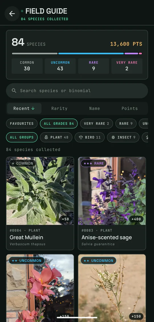 The field guide: 84 species and 13,600 points, split by rarity, with a searchable grid of finds