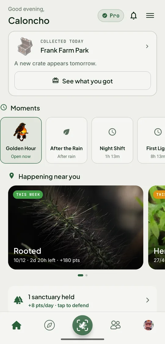 The home screen: today’s crate, live moments, this week’s challenges and a held sanctuary