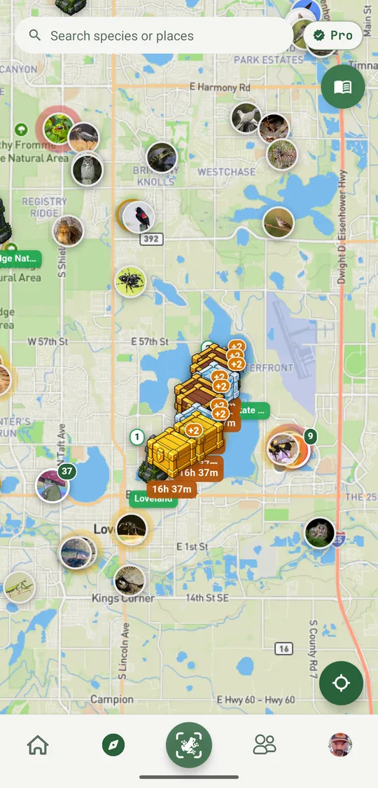 The map around Loveland: species pins, sanctuary shrines, and a run of wooden, gold and diamond crates along the lake