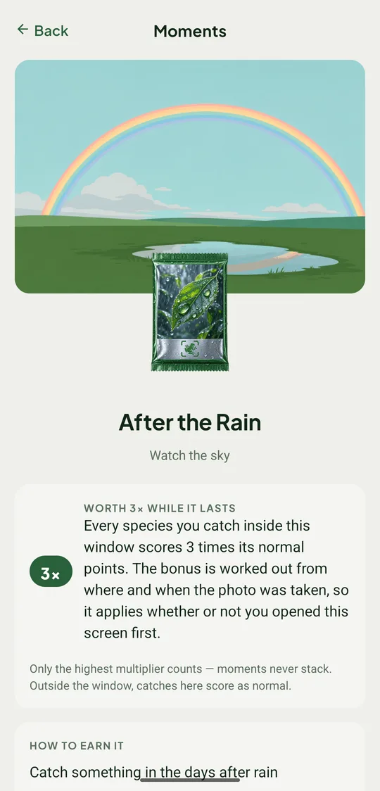 The After the Rain moment: worth 3× while it lasts, with how to earn it